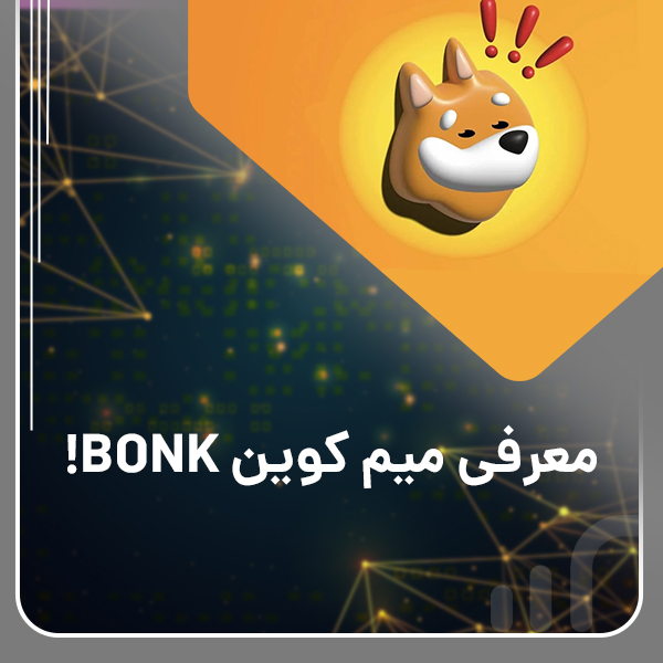 Introducing the bonk meme coin