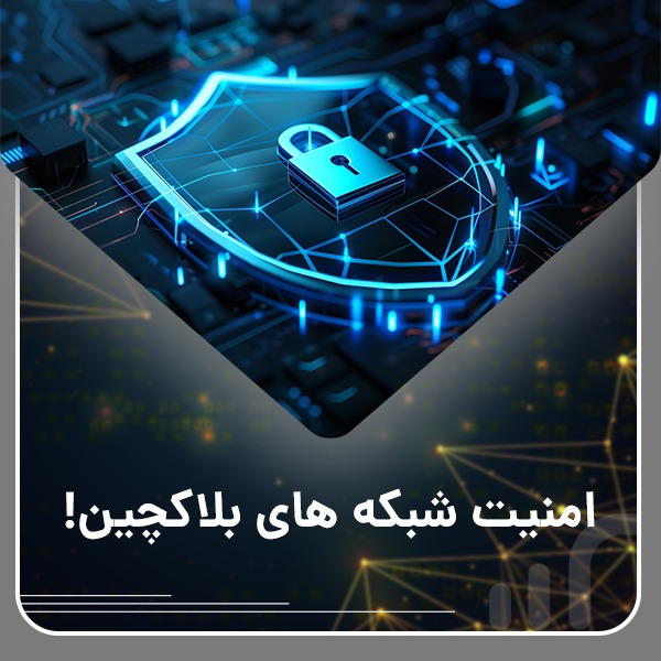 Security of blockchain networks