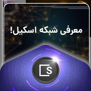 شبکه اسکیل چیست